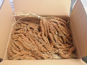 1 kg de millet rouge Lyra Pet® Photo du client 1