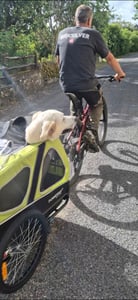Doggyhut S-Line XXL Hundeanhänger & Hundebuggy mit Federung 2 in 1 Hunde Fahrradanhänger Jogger gefedert bis 45 kg Kunden-Foto 1