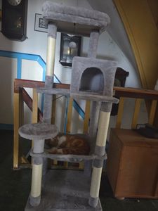 Purpurra Katzenbaum für große Katzen mit Metall Plüsch Hängematte 116cm/ 143 cm Kunden-Foto 2