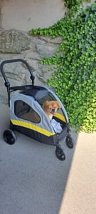 WISFOR, passeggino pieghevole per cani, carrello per cani, rimorchio per cani, borsa per cani con maniglia regolabile Foto del cliente 3