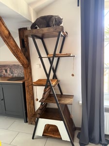 Tiragraffi COSTWAY, tiragraffi per gatti da 185 cm con 4 piattaforme, cuccia, pannello per graffiare, palline e tappetini rimovibili, casetta per gatti, tiragraffi per gatti in marrone rustico Foto del cliente 3