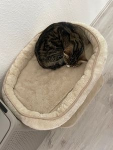 Genau das was ich gesucht habe 