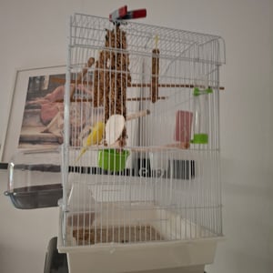 PawHut Vogelvoliere Vogelkäfig Stahlvoliere mit Ständer Vogelhaus Weiß Kunden-Foto 2