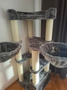 HAPPYPET Kratzbaum stabil 'Oscar' - 161 cm hoch, Katzenbaum für große Katzen Maine Coon, 12 cm Dicke Sisalstämme, 600g Plüsch, Creme Kunden-Foto 3