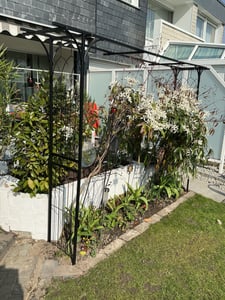 ALEOS XXL Rosenbogen Rankhilfe Pergola aus Metall schwarz Modell 5040 Kunden-Foto 1