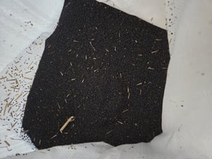 10 kg Raps Rapssamen Gereinigt Rapssaat Rapskissen Kissen Wärmekissen Kissen DML Kunden-Foto 2