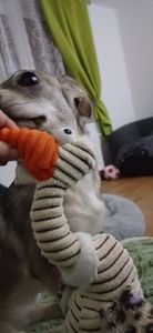 TRIXIE Geier Gustav Hundespielzeug - diverse - 28 cm Kunden-Foto 1