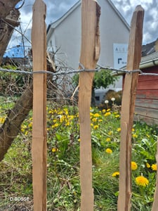 Staketenzaun in 26 Größen - Holzzaun aus Haselnuss - Gartenzaun Holz Höhen 50 cm - 150 cm Länge 5/10 Meter - Kastanienzaun für Garten (90cm x 5m) Kunden-Foto 15