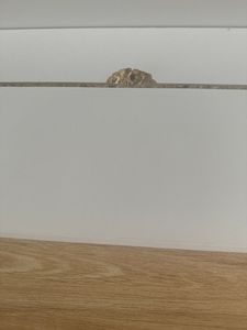 WOLTU Wickelaufsatz universal, für Kommode, mit Seitenwänden, 80x10x75 cm, Weiß Kunden-Foto 5