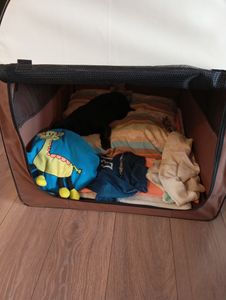 Tiertransportbox REX XL Purpur-Rot Hundebox Hundetransportbox faltbar Autotransportbox Katzen Hunde Kunden-Foto 1