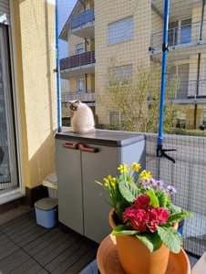 CCLIFE 4 Stk. Deckenstütze Montagestütze Einhandstütze 115-290 cm Belastbar Bis 30 kg Kunden-Foto 1