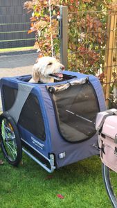 DOGGYHUT® Premium XL Hundefahrradanhänger Hundeanhänger Fahrradanhänger Kunden-Foto 4