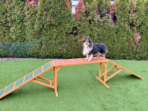 PawHut - Passerella per agility per cani - Attrezzatura per agility con barra di sicurezza Foto del cliente 1