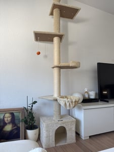 Feandrea Kratzbaum deckenhoch, 231-291 cm höhenverstellbarer xxl, hoher mehrstufiger Katzenkratzbaum, 11 cm dicke Stämme hellgrau Kunden-Foto 3