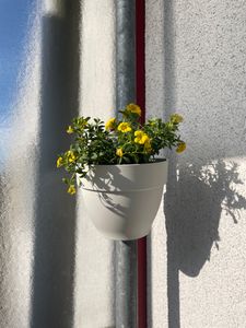 Fallrohrpflanzgefäß Elho vibia campana Kunststoff Ø 19 cm H 16 cm anthrazit Kunden-Foto 1