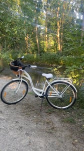 Milord Komfort Fahrrad Mit Weidenkorb Damenfahrrad, 28 Zoll, Rosa, 7 Gang Shimano Kunden-Foto 1