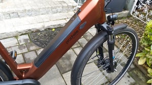 PROPHETE GENIESSER 2.9 Damen City E-Bike 28" Limited | e-novation Vorderradmotor 40 Nm, 400 Wh Akku bis 100 km, Shimano 7-Gang Nabenschaltung Kunden-Foto 4