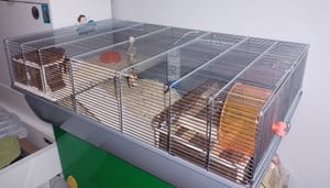 Hamsterkäfig Mäusekäfig Nagerkäfig 59 x 38 x 55 cm schwarz mit Zubehör Kunden-Foto 1