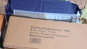 5 kg Lyra Pet® Soldatenfliegenlarven Kunden-Foto 6