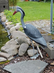 Fischreiher-Attrappe: Wetterfeste Dekofigur und Reiherschreck, 75 cm Kunden-Foto 2