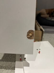 Ausziehbare Konsole 237 PLUS Esstisch Ausziehtisch Esszimmertisch bis zu 10 Sitzpläte, Weiß Matt Kunden-Foto 1