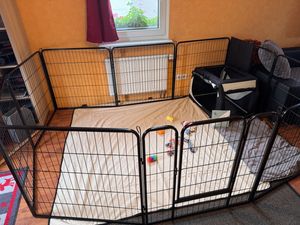 Yaheetech 12-teilig Welpenlaufstall 80 x 80 cm Welpenauslauf Laufgitter Absperrgitter Kunden-Foto 3