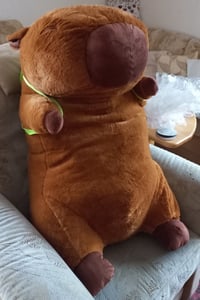 Großes Maskottchen Plüsch-Kissen Spielzeug Capybara 100 cm Kunden-Foto 2