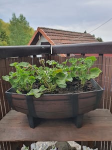 Blumentopf Strend Pro Woodeff, 37,5x30 cm, Walnuss, Holz-Effekt Kunden-Foto 2