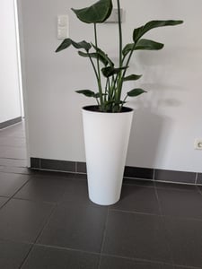 NABBI Doniczka plastikowa DTUS200 20 cm - biała Zdjęcie produktu od klienta nr 6
