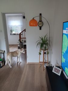 CCLIFE LED Bogenleuchte Bogenlampe Stehlampe Standleuchte Lampe Wohnzimmerlampe weißE27, Color:Weiss. höhenverstellbar 130-180cm Kunden-Foto 3