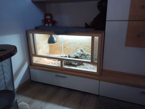 Repiterra® Terrarium Seitenbelüftung Holzterrarium OSB Holz Terrarien 120x50x50 Kunden-Foto 2
