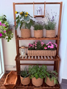 WISFOR Scala per fiori in legno massiccio, scaffale per piante a 3 livelli, portafiori per interni ed esterni, 79x36,5x145cm Foto del cliente 3