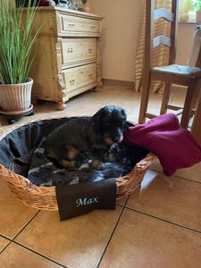 Hundekorb aus Weide oval mit dem Namen 80x60 H20 CM Kunden-Foto 1