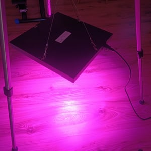 VINGO LED Pflanzenlampe Garten- & Gewächshaus-Zubehör 45W Pflanzenleuchte 225 LEDs fuer Gewaechshaus, Red Blue Voll Spektrum Pflanzenlicht fuer Saemling, Garten, Blumen, Innengarten Grow Lampe Kunden-Foto 2