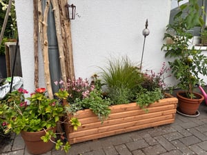 Massiver Holz Pflanzkasten Maße 120x40x36 cm lasiert in TEAK SchwibboLa Kunden-Foto 1