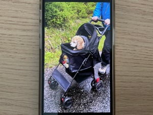 Passeggino pieghevole per cani e gatti, carrello a 4 ruote con sospensioni, nero Foto del cliente 1