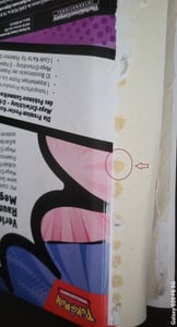 Pokémon Premium-Poster-Kollektion Mega-Entwicklung - Erhabene Helden: Mega-Guardevoir Kunden-Foto 1