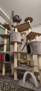 HAPPYPET Kratzbaum deckenhoch 260 cm hoch, Kletterbaum SAM – Großer XXL Katzenbaum Stabil für mehrere Katzen, stabile 8 cm Säulen, mit Zubehör, Beige Kunden-Foto 18