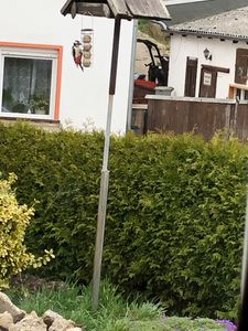 Futterbauer Meisenknödel 200 Stück ohne Netz, Hochwertige Meisenknödel für Wildvögel, ca. 90 g je Knödel, mit Vitaminen & Fetten Kunden-Foto 1