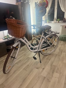 Bergsteiger Marseille 26 Zoll 28 Zoll Damenfahrrad, ab 150 cm, Korb aus Rattan, Fahrrad-Licht, Damen-Citybike, Damenrad im Retro-Design, 6 Gang Shimano Tourney Schaltung Kunden-Foto 8