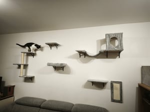 SucceBuy Wandregal-Set für Katzen, Katzenwand-Sitzstangen mit Sprungbrettern, Hängematte, Sofa, Kletterbaum und Griff, langlebige Katzenmöbel halten bis zu 40 Pfund, ideal zum Spielen Kunden-Foto 1