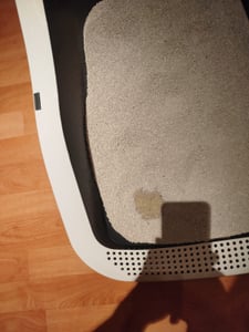 XXL Katzenklo Katzentoilette groß Großes Katzenklo 70 cm Katzen Klo offen XXL Katzenklo hoher Rand Katzenklo ohne Deckel Katzenklo XXL große Katzen Jumbo 70 cm Kunden-Foto 1