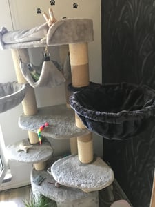 HAPPYPET Universal XXL Liegemulde für Kratzbaum Ø 45 cm - Schlafmulde für große Katzen, Maine Coon, Stabil bis 20 kg Traglast, Katzenmulde, Grau Kunden-Foto 3