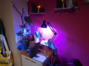 Lampa biurkowa MasterLED E27 czarna, regulowane ramię przegubowe, z zaciskiem i stojakiem Zdjęcie produktu od klienta nr 1