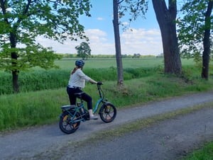 HillMiles E Bike, E-Bike Klapprad mit 36V 13Ah Akku bis zu 80-100km, 20 *3.0 Zoll, 7-Gang SHIMANO, 250W Motor & 25km/h MilePort 1 Kunden-Foto 10