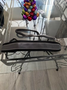 TRIXIE Bauchgurt mit Leine für mittelgroße und große Hunde - Gurt: 70–130 cm/9 cm, Leine: 1,20–1,50 m/25 mm Kunden-Foto 1