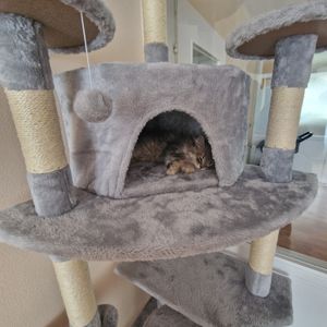 PAWHUT kattenboom met krabpaal en rustplaats D30-023V01 - Model B Klantenfoto 3