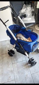 Pawhut PawHut wózek dla psa z uchwytem na kubek D00-127 Zdjęcie produktu od klienta nr 5