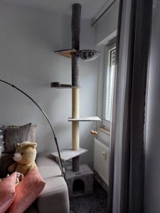 Feandrea Kratzbaum deckenhoch, 231-291 cm höhenverstellbarer xxl, hoher mehrstufiger Katzenkratzbaum, 11 cm dicke Stämme hellgrau Kunden-Foto 6