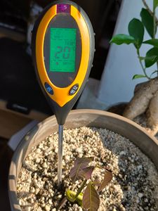 4 in 1 Bodentester Bodenmessgerät Tester PH-Wert Temperatur Feuchtigkeit Licht Kunden-Foto 1